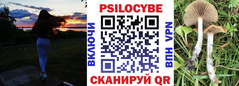 Псилоцибиновые грибы ЛСД сайты даркнета телеграм Хвалынск купить закладку